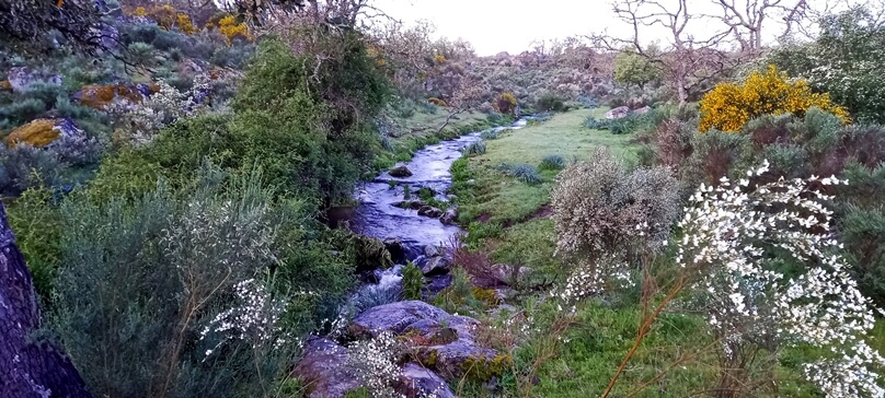 La Campiña (Municipio de Valencia de Alcántara, Extremadura)