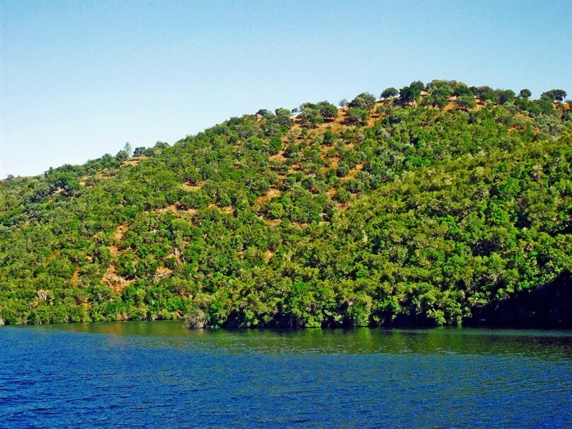 Río Tajo